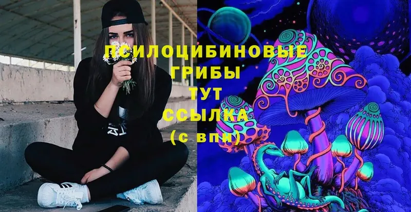 Галлюциногенные грибы Magic Shrooms  Орлов 